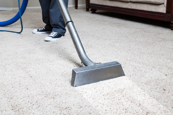 Carpet Cleaning and Maintenance - Whitehall Carpet Cleaners
